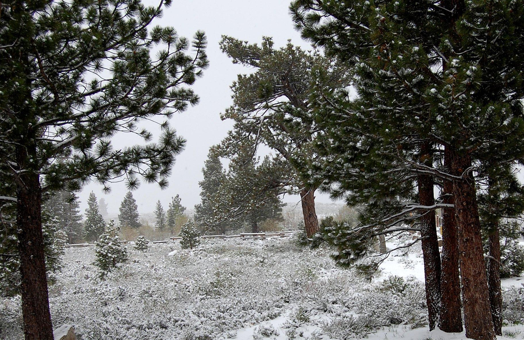 The Mammoth Creek Hotel 3*