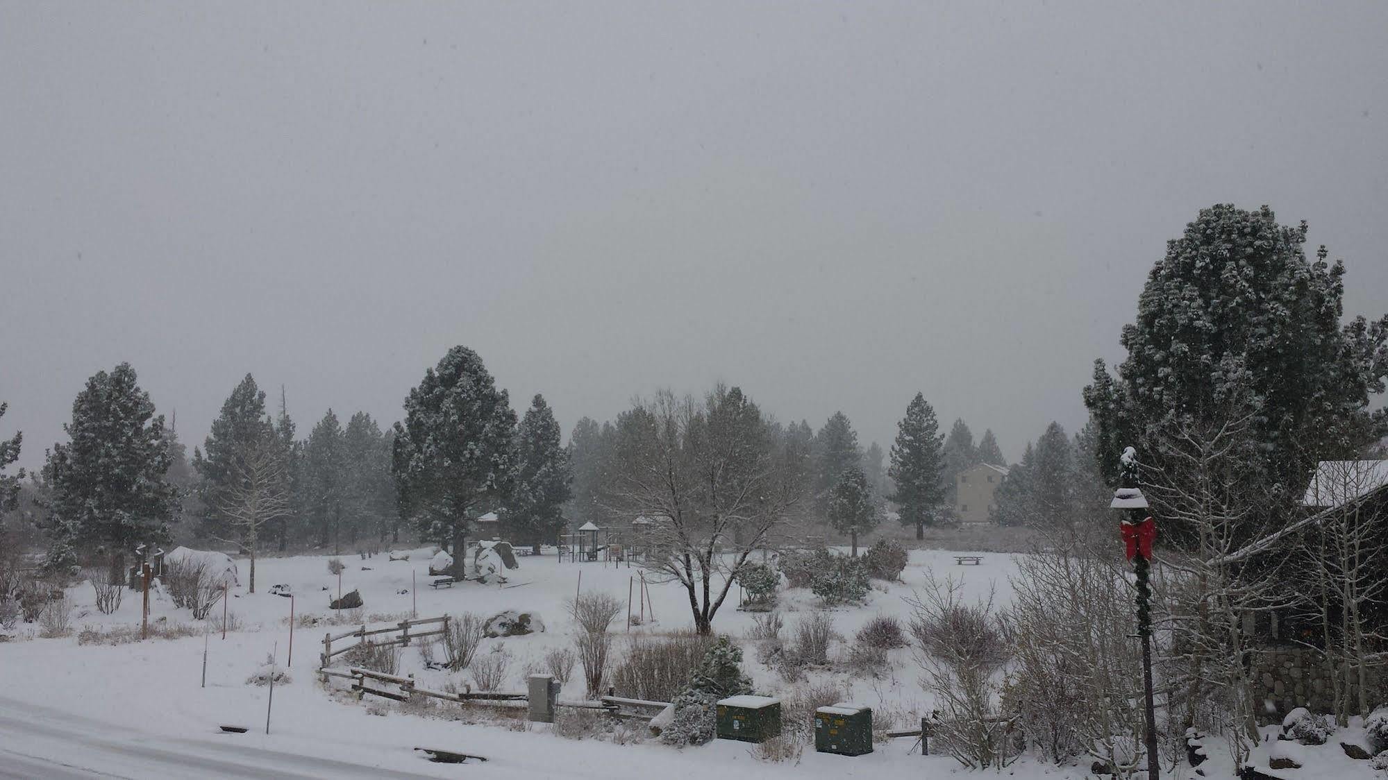 The Mammoth Creek