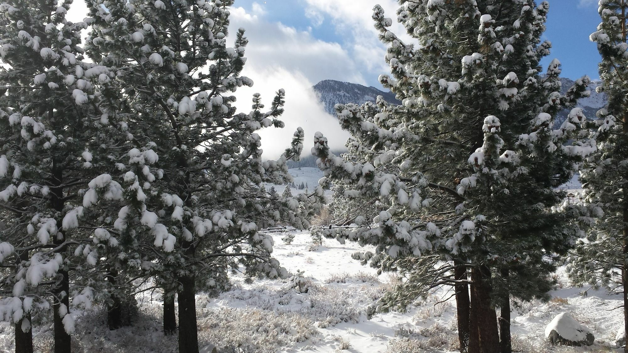 Hotel The Mammoth Creek 3*